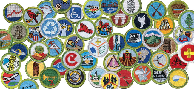 merit badge image