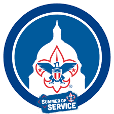 Looking for a couple Scout Volunteers for July 4th